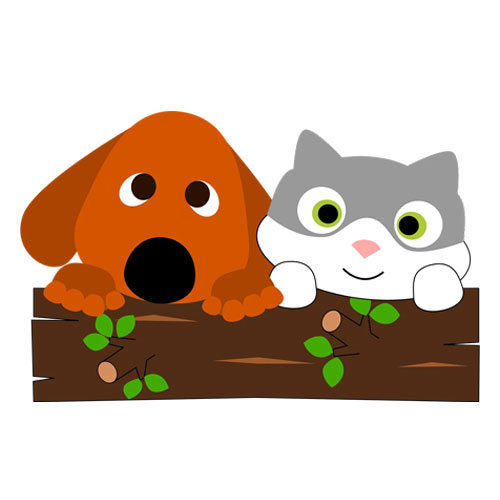 Pet Health & Wellness